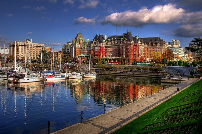 Victoria Harbour Kayak Tour - A working harbour with seals, eagles, and seaplanes