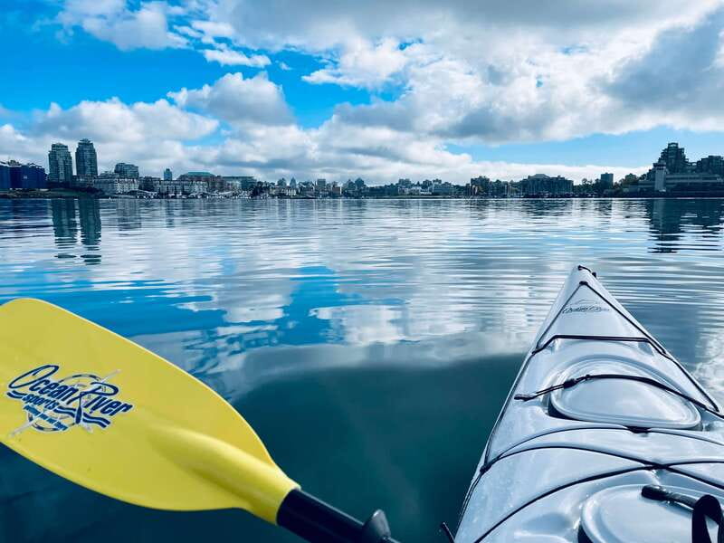 Victoria: Kayak Harbour Tour - Victoria’s Inner Harbour from a kayak