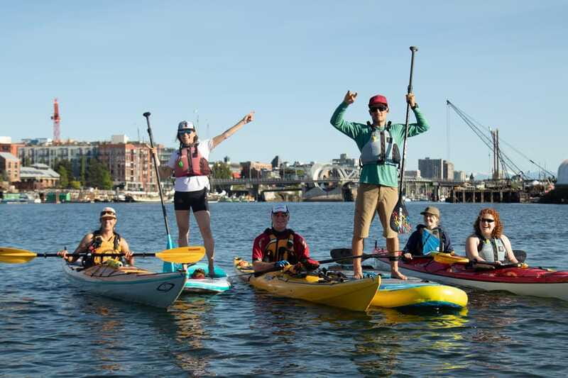 Victoria: Kayak Harbour Tour - The Gorge Waterway and calmer paddling