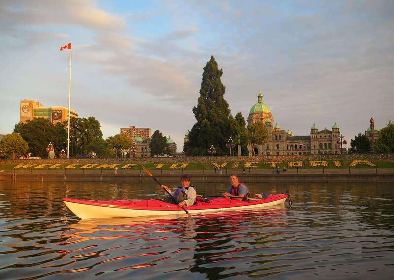 Victoria: Kayak Harbour Tour - Wildlife close to Victoria’s downtown