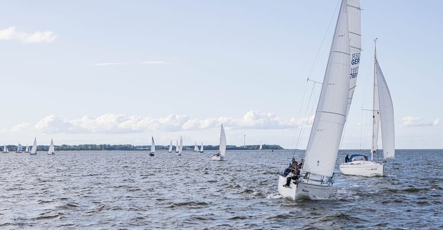 Wednesday Regatta with harbour tour - Key points to know before boarding