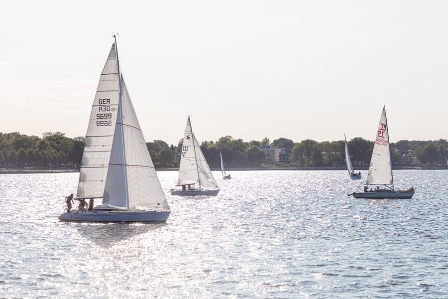 Wednesday Regatta with harbour tour - The Wednesday regatta as a scenic extra