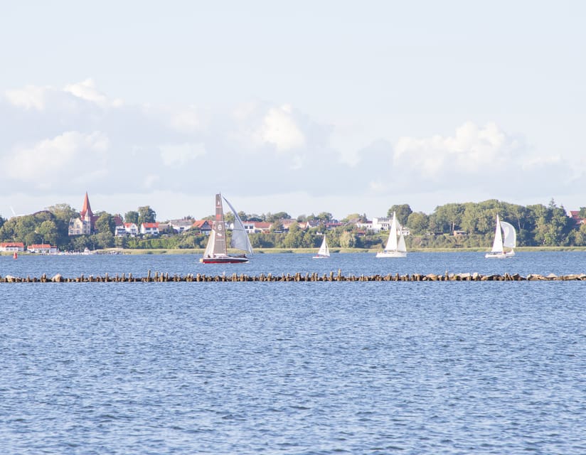 Wednesday Regatta with harbour tour - Inside comfort, rooftop views, and onboard drinks