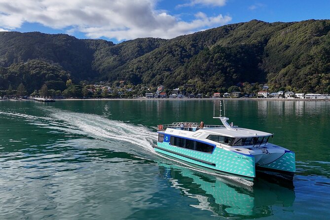 Wellington 90 minute Harbour Cruise - Key points to know before you board