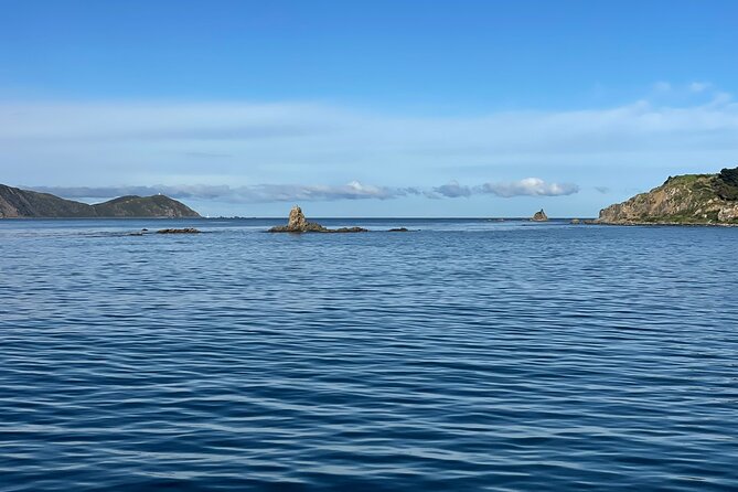 Wellington 90 minute Harbour Cruise - What you see during the 90-minute harbour route