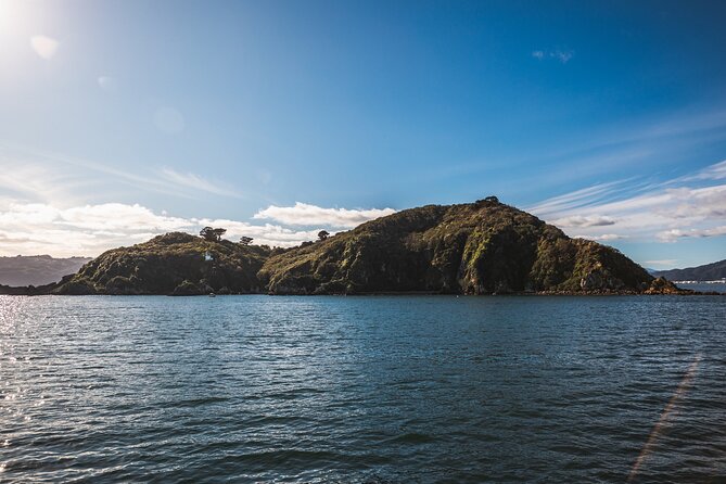Wellington 90 minute Harbour Cruise - Choosing between the open deck and lower cabin