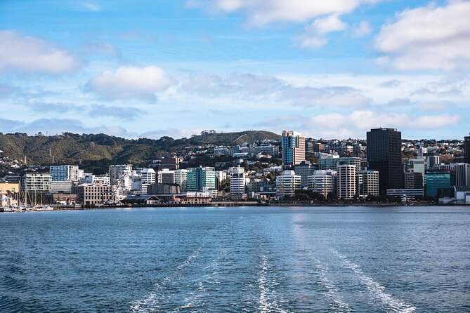 Wellington 90 minute Harbour Cruise - Who will enjoy this cruise most?