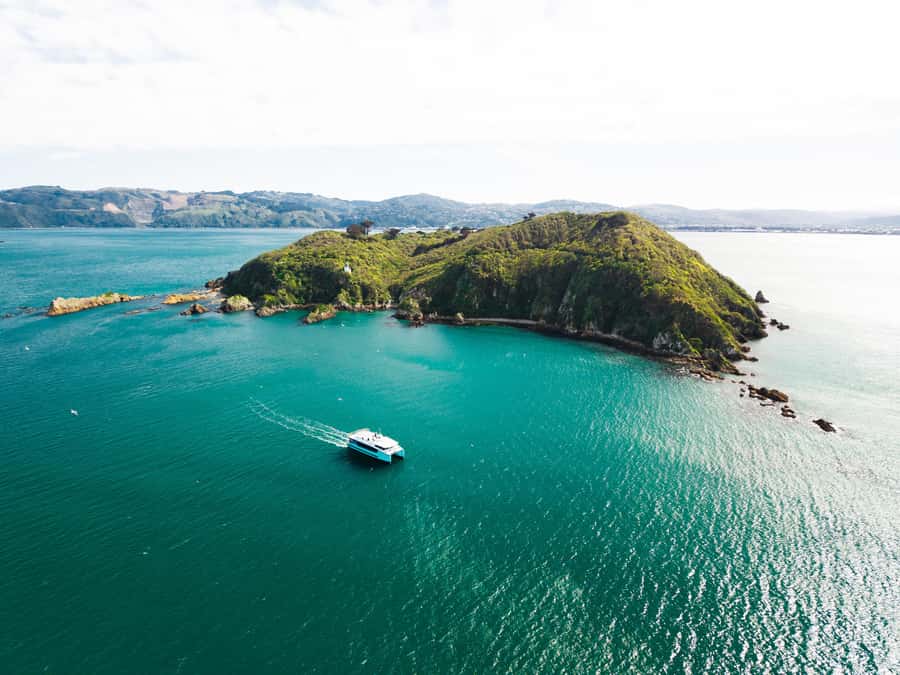 Wellington: Commentated Harbour Explorer tour - Following Wellington’s story from the water