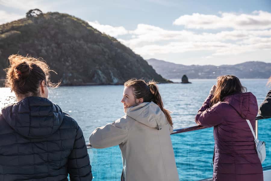 Wellington: Commentated Harbour Explorer tour - A flexible route around Wellington Harbour