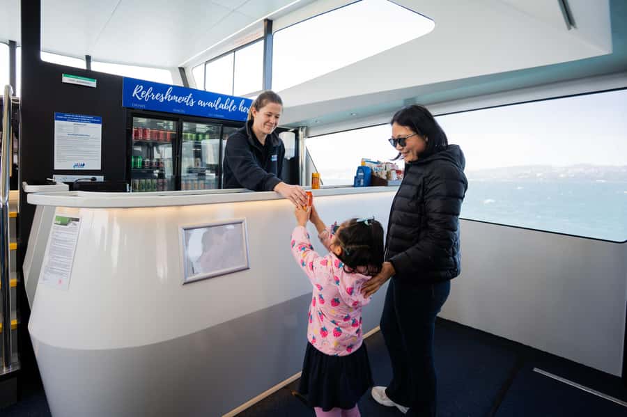 Wellington: Commentated Harbour Explorer tour - Views, commentary, and the pace of the cruise