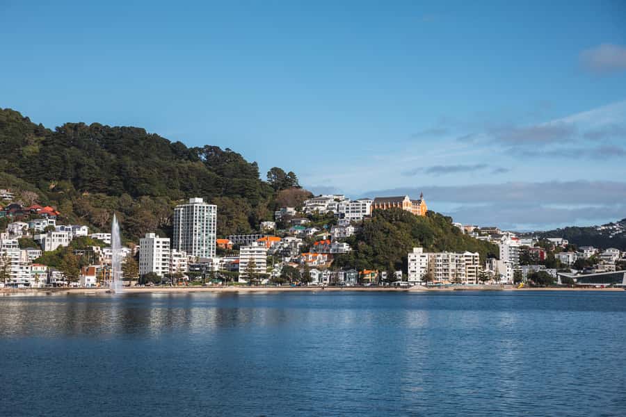 Wellington: Commentated Harbour Explorer tour - Should you book the Wellington Harbour Explorer?