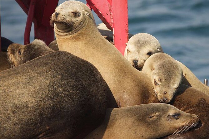West Harbor LA 45-Minute Narrated Harbor Cruise of San Pedro - What this cruise actually shows you