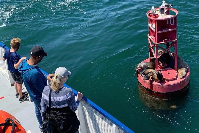 West Harbor LA 45-Minute Narrated Harbor Cruise of San Pedro - The pilot station and the people behind the ships
