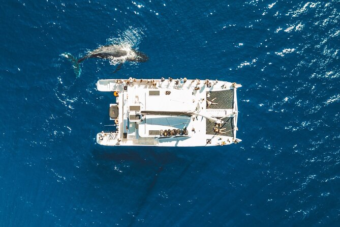 West Maui Snorkel & Sail - Breakfast first, then a flexible route west
