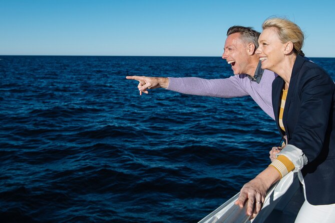 Whale Watching & Hop On Hop Off Sydney Harbour Explorer Cruise - The first morning: whale watching from Circular Quay
