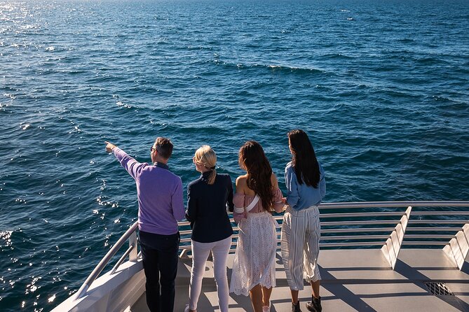 Whale Watching & Hop On Hop Off Sydney Harbour Explorer Cruise - Weather, clothing, and motion sickness