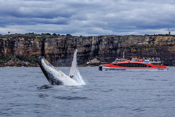 Whale Watching & Hop On Hop Off Sydney Harbour Explorer Cruise - Why Watson’s Bay matters on the harbour route