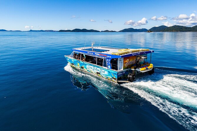 Whisper Cruises - One-Hour Turtle Spotting Bay Cruise - Cannonvale Beach and possible bonus wildlife