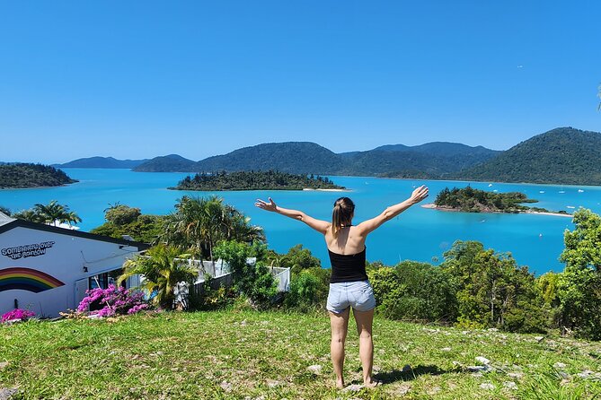 Whisper Cruises - One-Hour Turtle Spotting Bay Cruise - Is $49.49 good value?