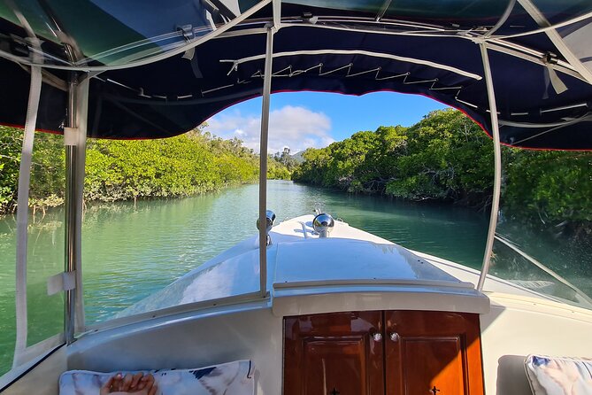 Whisper Cruises - One-Hour Turtle Spotting Bay Cruise - Along the Airlie Beach foreshore