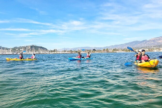 Wildlife Kayak Tour in Santa Barbara Harbor (2 Hours) - Is $59 a fair price?