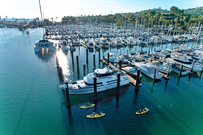 Wildlife Kayak Tour in Santa Barbara Harbor (2 Hours) - Santa Barbara Waterfront and the open-water edge