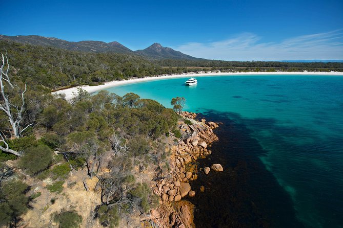 Wineglass Bay Cruise from Coles Bay - Wildlife watching along the way