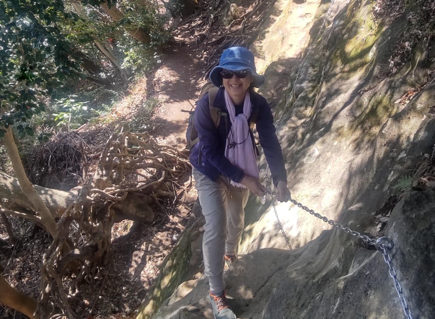 Yokosuka : Scenic Hidden Gem Hike and Naval Port Cruise - What Mayuko adds to the day