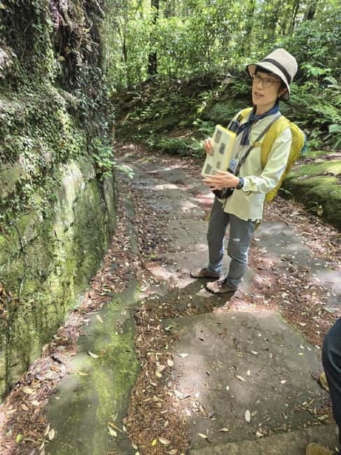 Yokosuka : Scenic Hidden Gem Hike and Naval Port Cruise - Final call: book it for variety, not for a soft stroll